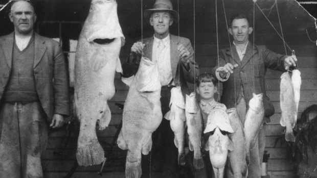 Back in the day: the fish was plentiful but heavy demand put it on the endangered list. 