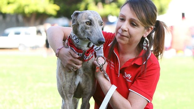 Buffy Ashley of 'Grey Hounds New Beginnings' sits with Dakota during the RSPCA Big Adopt Out at the RNA Showgrounds.