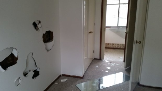 Vandals smashed holes in numerous walls throughout the house.