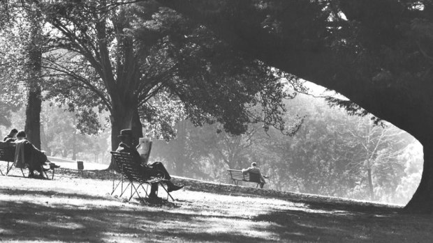 A man reading a newspaper in Alexandra Gardens in the 1930s.