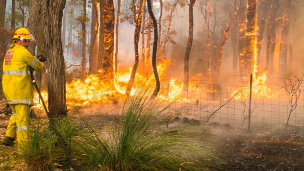 More than a year after the destruction of fires, Parkerville is still having to rebuild