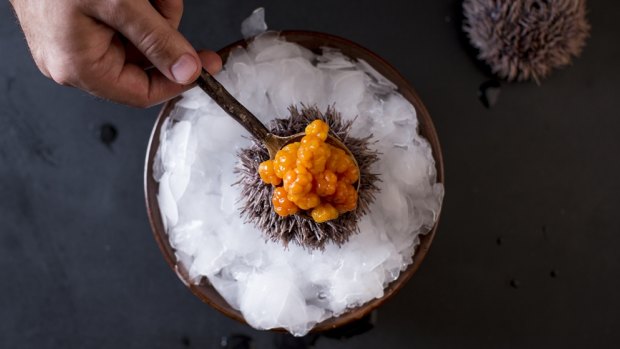 Exotic dishes including sea urchin now feature in top Russian restaurants including White Rabbit in Moscow.