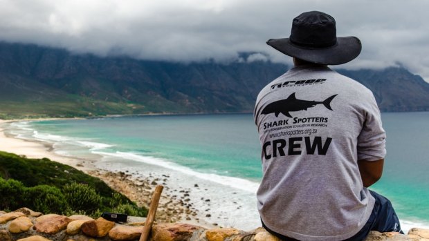 Shark spotter at Koegel Bay, South Africa.