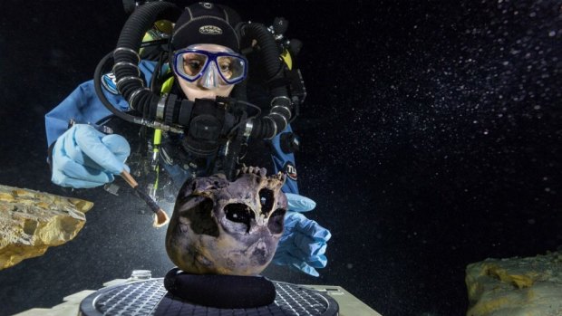 A diver inspects the skull.