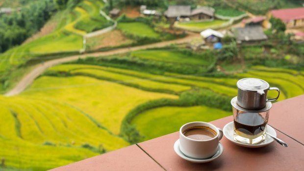 Coffee in Vietnam: Not bad.