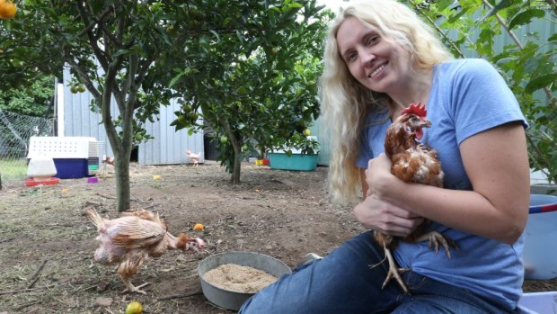 Chicken champion: Catherine Smith, founder of Hen Rescue NSW, has saved nearly a thousand battery hens.