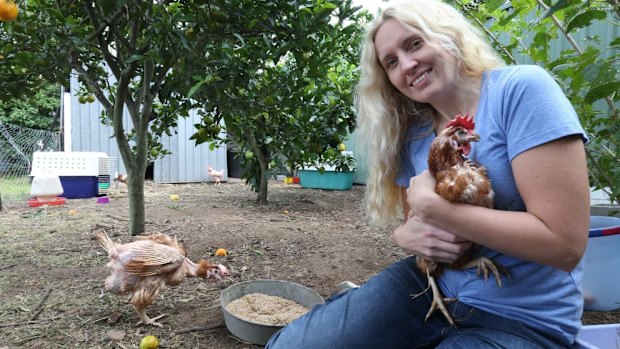 New life breathed into rescued battery hens