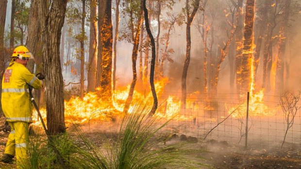 More than a year after the destruction of fires, Parkerville is still having to rebuild