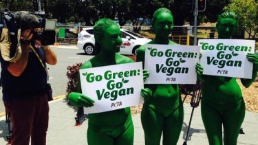PETA members painted in green paint take to the street in Brisbane on November 12 to urge world leaders to give up meat.