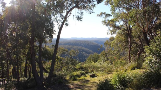 The retreat's tranquil Blue Mountains setting.