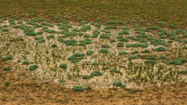 Queensland's Channel Country is a world of colour seen by too few eyes.