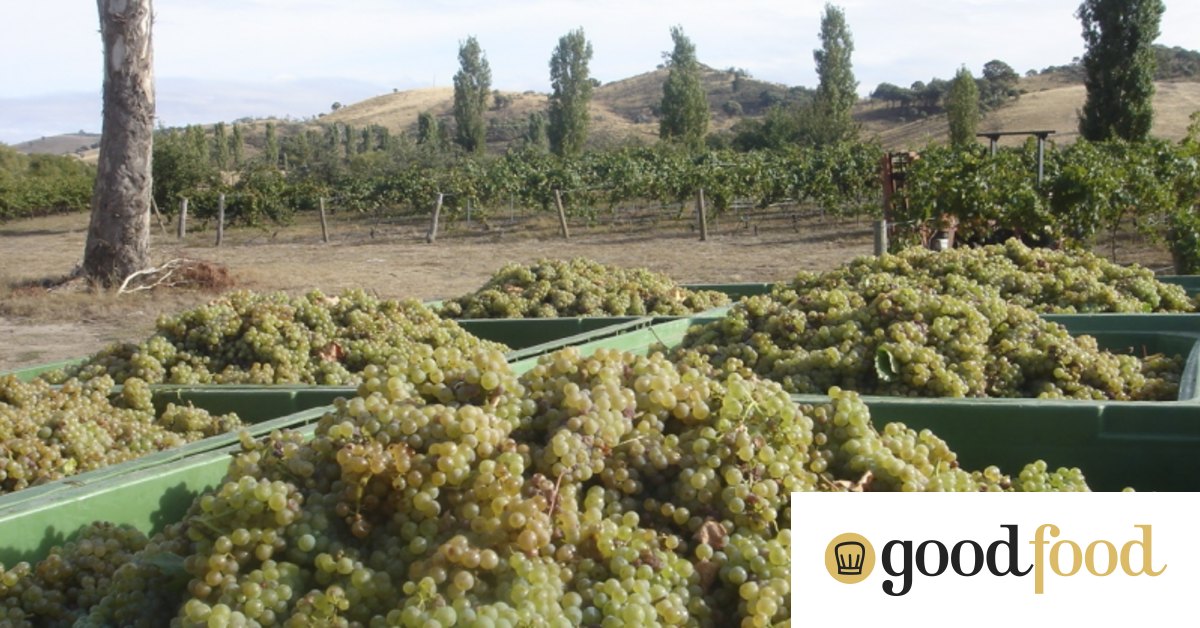 Three of the best Canberra wines to try