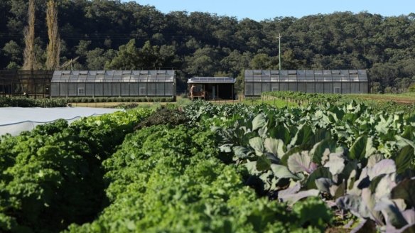Stix Farm will supply produce for Fink restaurants and compost their organic waste.