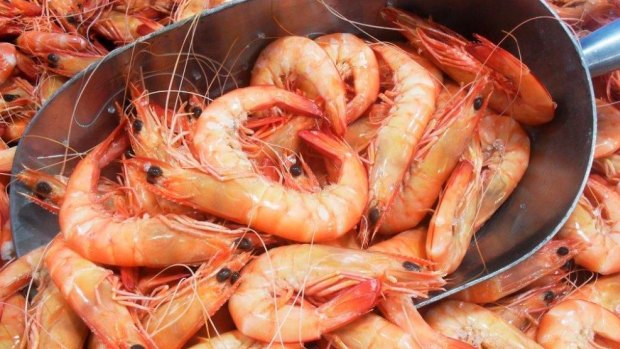 Prawn frenzy: The FishCo Fish Market expects to sell 12 tonnes of prawns on Christmas Eve.