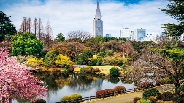 Shinjuku Gyoen Park near Keio Plaza Hotel.