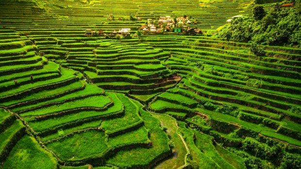 The Philippines has plenty of attractions to rival its neighbours, including World Heritage-listed rice terraces.