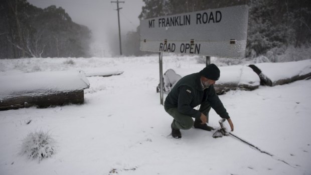 Near blizzard conditions while closing roads along Mount Franklin Road heading to Bulls Head Picnic area in Namadgi National Park with ACT parks Senior Ranger Darren Roso.
