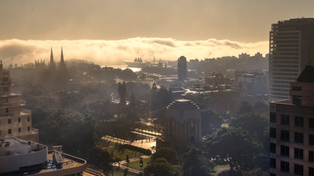 A spectacularly foggy sunrise in Sydney's CBD, looking over Hyde Park. 