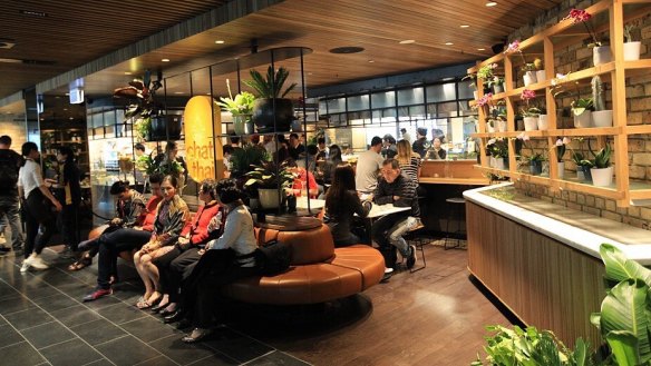 Perfect for pre-gig eats: Inside Chat Thai at Circular Quay.