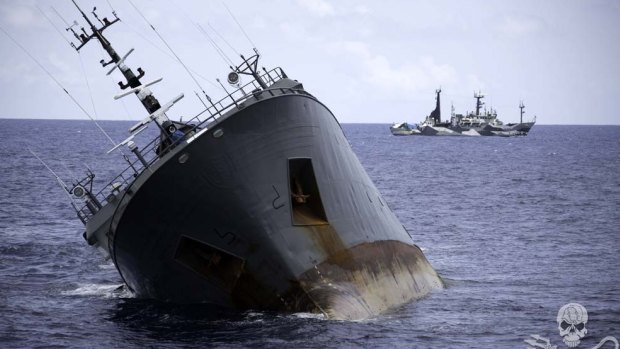 The poaching vessel Thunder sinks in suspicious circumstances.