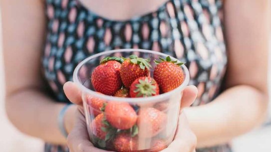 The study showed there is probably no such thing as a diet right for a particular genetic make-up.