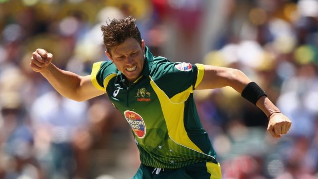 Back in business: James Pattinson
