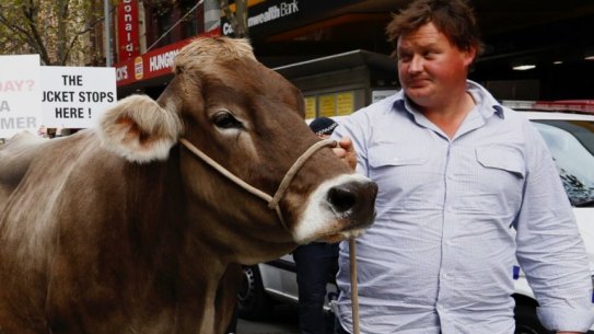 A dairty cow called Sary led the way as Victorian farmers marched from Federation Square to Parliament House.