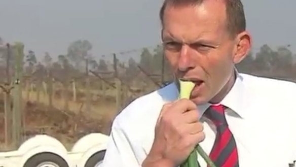 Tony Abbott bites in to a member of the onion family, possibly a spring onion, at a Queensland onion farm in 2011.