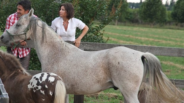 Anna Addicoat on her farm in the Hawksbury.