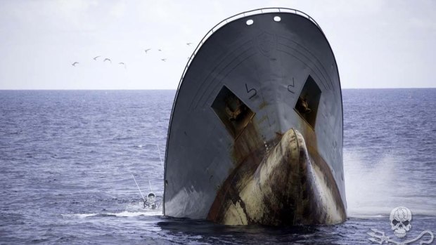 The poaching vessel Thunder sinks in suspicious circumstances.