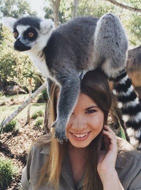 In 2016, Bindi can be found in her usual spot attending to the animals in the zoo, going to events, filming for Australia Zoo and working as the hospital ambassador.