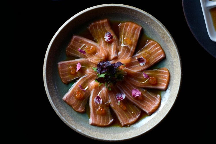 Salmon sashimi at Toko in Sydney's CBD.