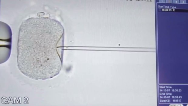 A sperm being implanted into an egg in a promotional video for a Cambodian fertility clinic.