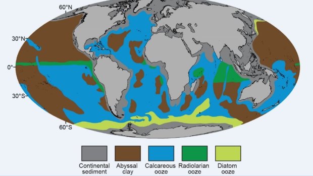 The Earth's sea floor.