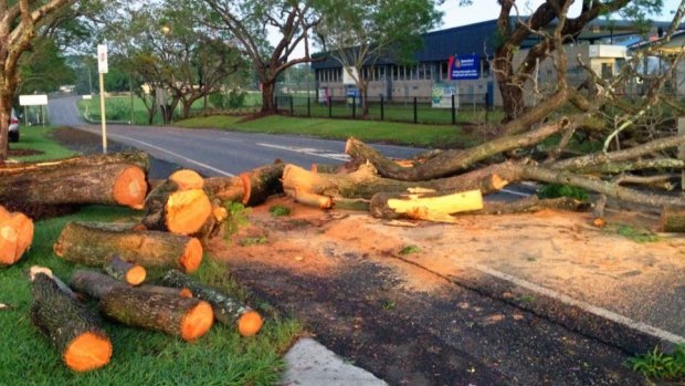 The removal of a fallen tree begins in Goodna after Sunday night's storm.