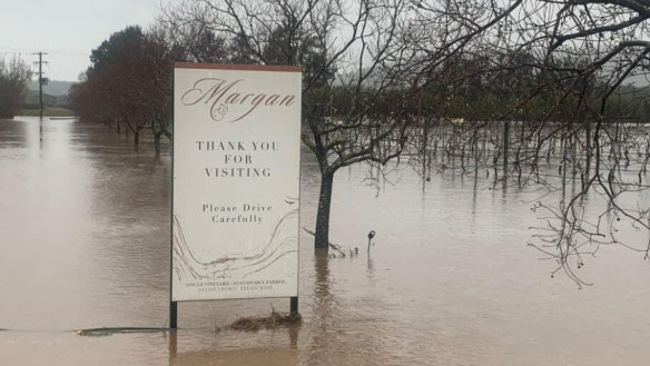 Margan Wines was completely inundated by floodwater, but Andrew Margan believes the vineyard should continue producing once the land dries out. 