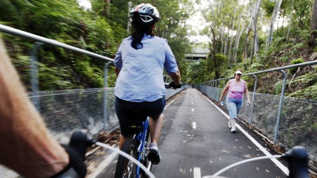 Heads up: cyclists and a pedestrian on a narrow walkway. 