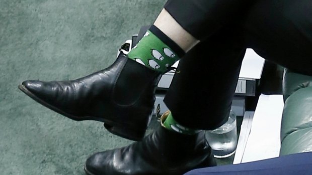 Deputy Prime Minister and dual citizen Barnaby Joyce shows off his sheep socks, during question time in March.