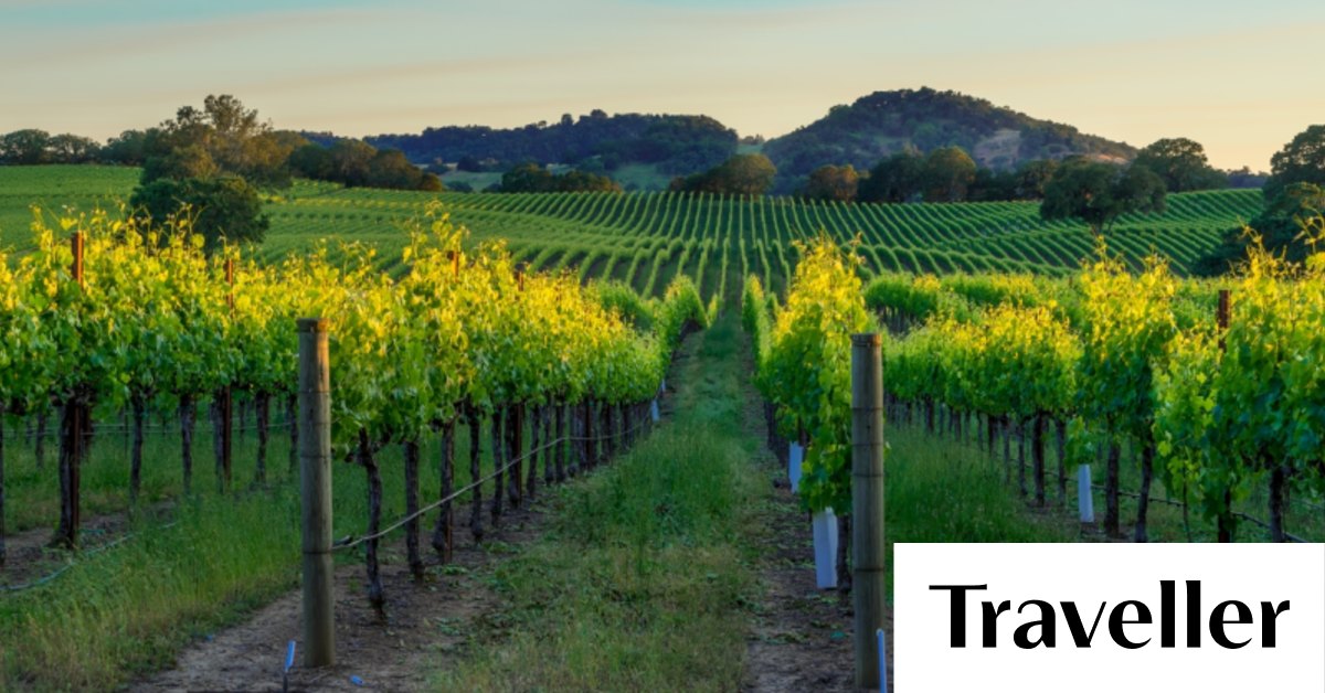 Six of the best Classic California winery road trips