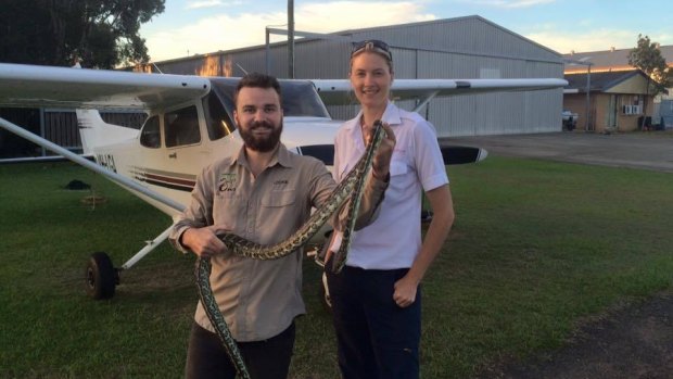 Sunshine Coast snake catcher Lockie Gilding with the snake that almost caught a plane.