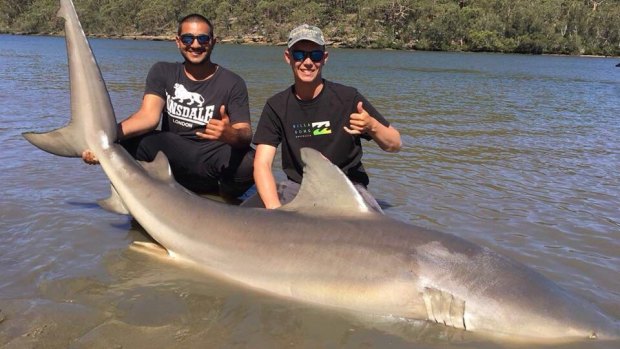 Two mates caught this large bull shark at the Georges River in Revesby on Wednesday.