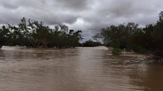Winbin Creek swollen at the crossing on the Quilpie Charleville road