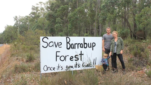 Locals have successfully halted clearing of the forest pending old growth and Aboriginal heritage assessments. 