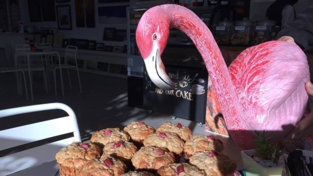 Thieves stole Florence the plastic flamingo from the Gallery Twenty Seven cafe in Higgins during a 'smash and grab' in the early hours of May 10. 