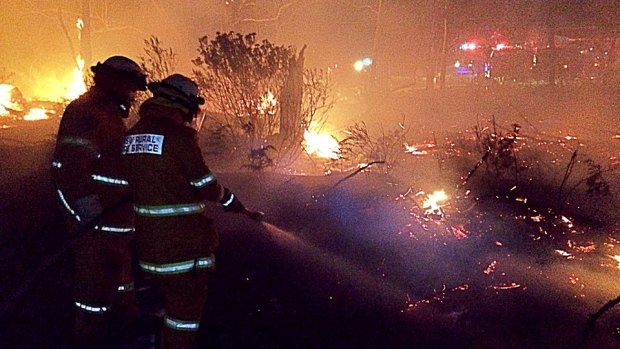Firefighters at the Nerriga Road bushfire on Friday night.