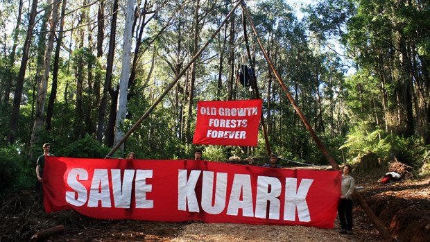 Protesters blockade the road into the Kuark forest in East Gippsland. 