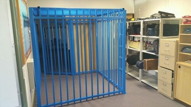 The panel was commissioned after a 10-year-old boy with autism was locked in a cage in a Canberra primary school in 2015.