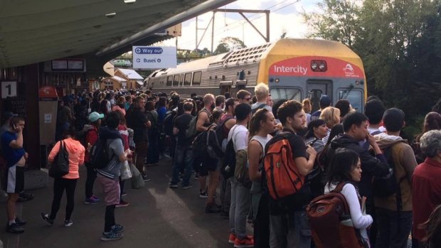 A crowd of people waiting for a train to arrive at Katoomba Station on a Sunday afternoon.