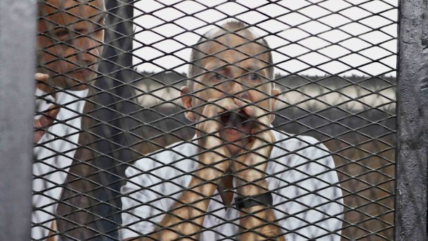 The harsh sentence against Peter Greste and his Al Jazeera colleagues seems to be more about the complex political calculations in the Middle East than about law.