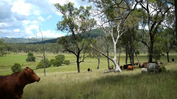 The state governement has restricted the use of national parks, making it harder for graziers to use the land.